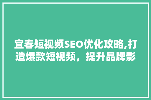 宜春短视频SEO优化攻略,打造爆款短视频，提升品牌影响力 操作系统