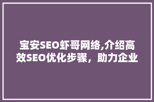 宝安SEO虾哥网络,介绍高效SEO优化步骤，助力企业腾飞
