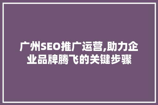 广州SEO推广运营,助力企业品牌腾飞的关键步骤