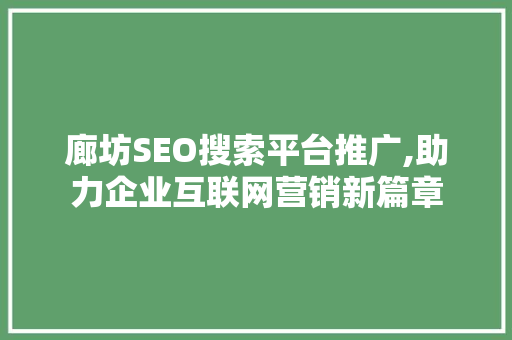 廊坊SEO搜索平台推广,助力企业互联网营销新篇章 网络技术