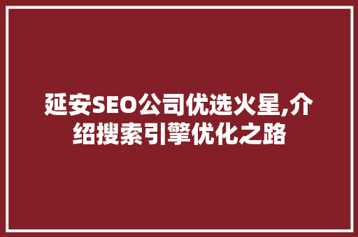 延安SEO公司优选火星,介绍搜索引擎优化之路