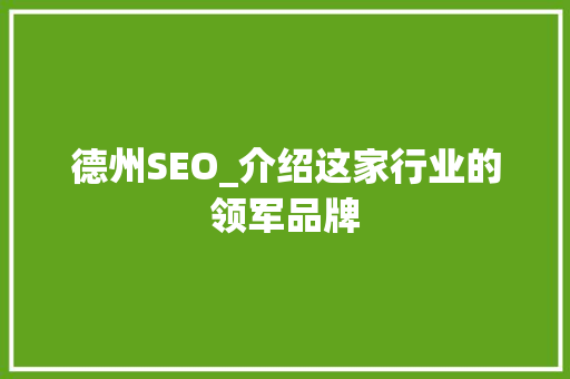 德州SEO_介绍这家行业的领军品牌