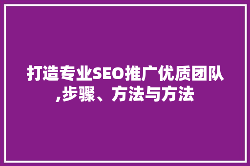 打造专业SEO推广优质团队,步骤、方法与方法