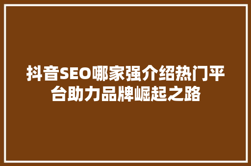 抖音SEO哪家强介绍热门平台助力品牌崛起之路