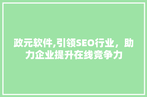 政元软件,引领SEO行业，助力企业提升在线竞争力