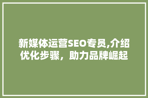 新媒体运营SEO专员,介绍优化步骤，助力品牌崛起