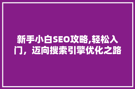 新手小白SEO攻略,轻松入门，迈向搜索引擎优化之路