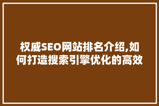 权威SEO网站排名介绍,如何打造搜索引擎优化的高效步骤
