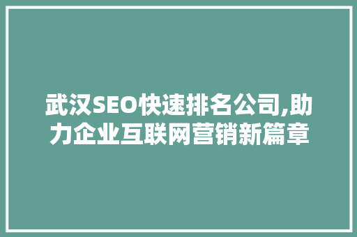 武汉SEO快速排名公司,助力企业互联网营销新篇章