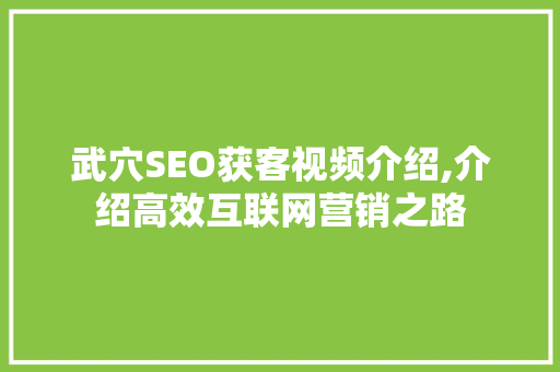 武穴SEO获客视频介绍,介绍高效互联网营销之路 操作系统 武穴SEO获客视频介绍,介绍高效互联网营销之路 操作系统
