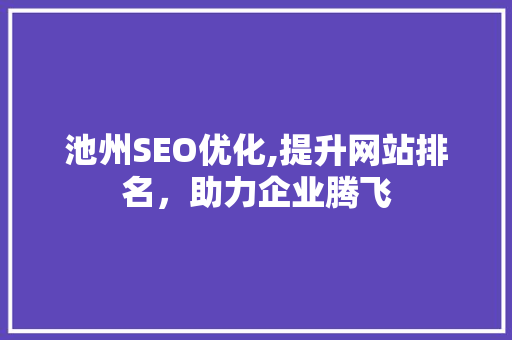 池州SEO优化,提升网站排名，助力企业腾飞