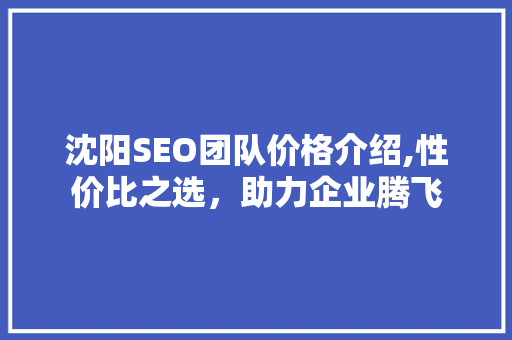 沈阳SEO团队价格介绍,性价比之选，助力企业腾飞
