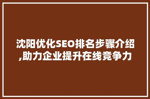 沈阳优化SEO排名步骤介绍,助力企业提升在线竞争力