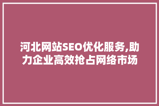 河北网站SEO优化服务,助力企业高效抢占网络市场