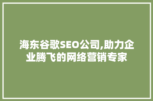 海东谷歌SEO公司,助力企业腾飞的网络营销专家