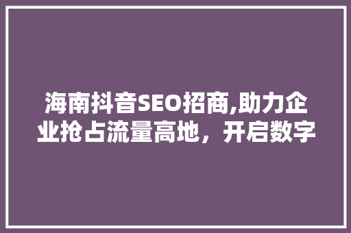 海南抖音SEO招商,助力企业抢占流量高地，开启数字营销新时代