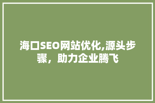 海口SEO网站优化,源头步骤，助力企业腾飞
