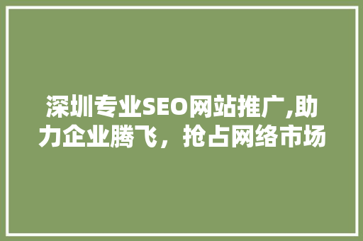 深圳专业SEO网站推广,助力企业腾飞，抢占网络市场制高点 电脑基础