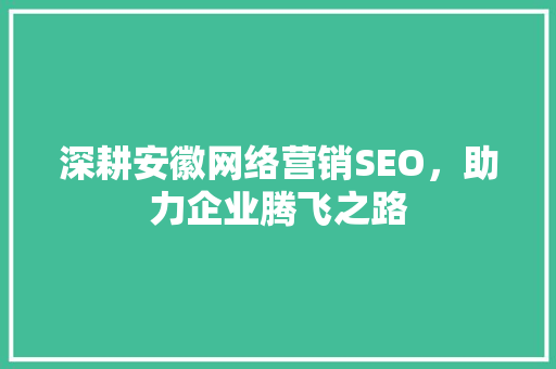 深耕安徽网络营销SEO，助力企业腾飞之路