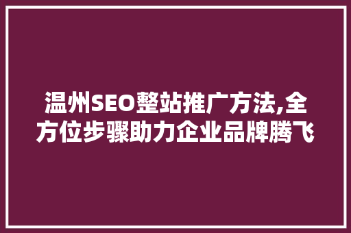 温州SEO整站推广方法,全方位步骤助力企业品牌腾飞