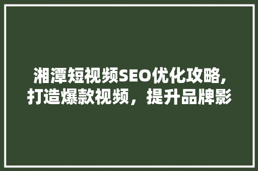 湘潭短视频SEO优化攻略,打造爆款视频，提升品牌影响力