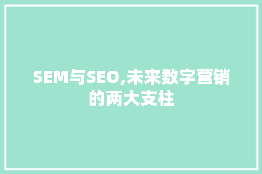 SEM与SEO,未来数字营销的两大支柱