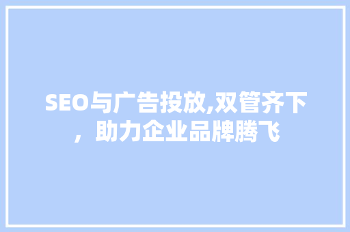 SEO与广告投放,双管齐下，助力企业品牌腾飞