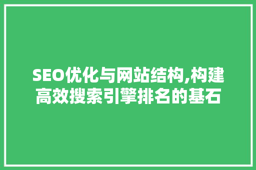 SEO优化与网站结构,构建高效搜索引擎排名的基石