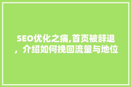SEO优化之痛,首页被辞退，介绍如何挽回流量与地位