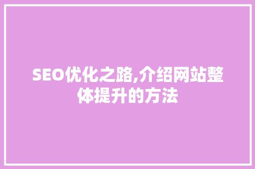SEO优化之路,介绍网站整体提升的方法