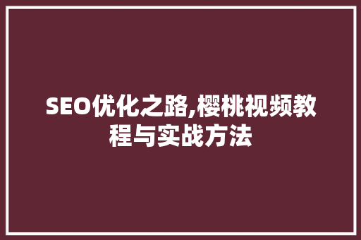 SEO优化之路,樱桃视频教程与实战方法