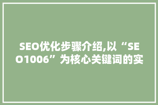 SEO优化步骤介绍,以“SEO1006”为核心关键词的实战指南
