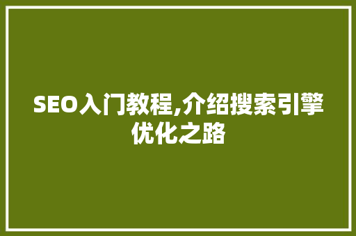 SEO入门教程,介绍搜索引擎优化之路