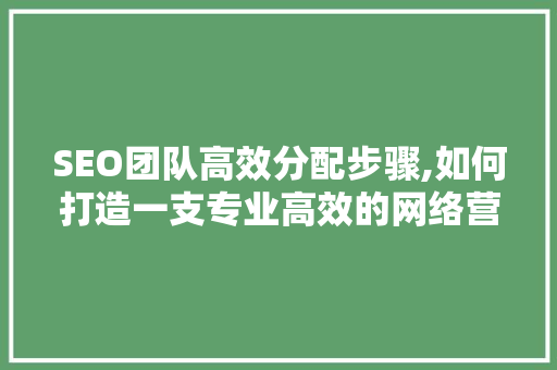 SEO团队高效分配步骤,如何打造一支专业高效的网络营销团队