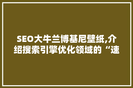 SEO大牛兰博基尼壁纸,介绍搜索引擎优化领域的“速度与激情”