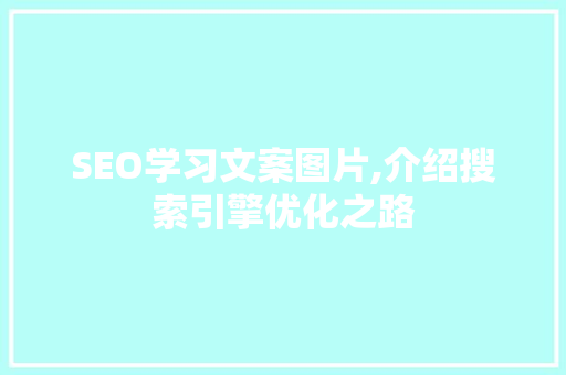 SEO学习文案图片,介绍搜索引擎优化之路