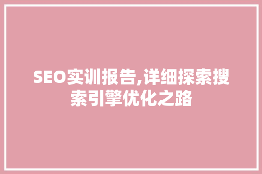 SEO实训报告,详细探索搜索引擎优化之路