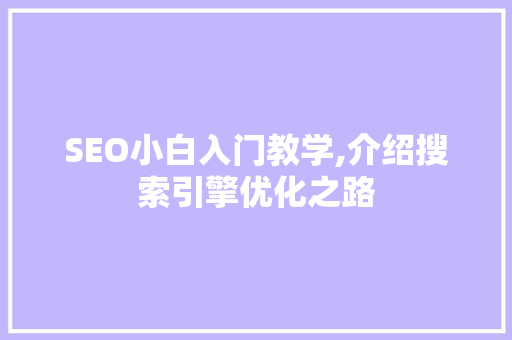 SEO小白入门教学,介绍搜索引擎优化之路