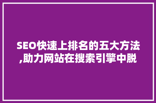SEO快速上排名的五大方法,助力网站在搜索引擎中脱颖而出