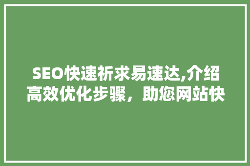 SEO快速祈求易速达,介绍高效优化步骤，助您网站快速崛起
