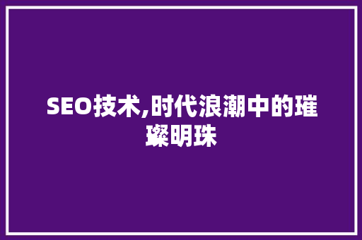 SEO技术,时代浪潮中的璀璨明珠