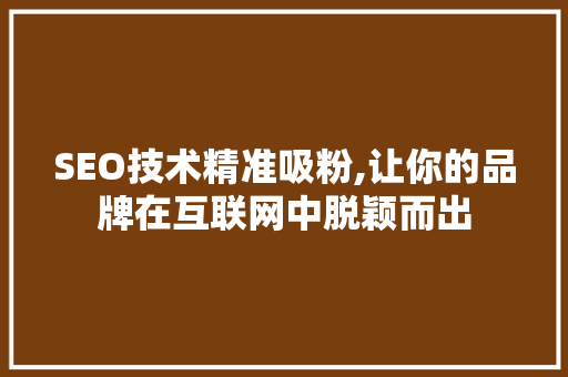 SEO技术精准吸粉,让你的品牌在互联网中脱颖而出 编程语言