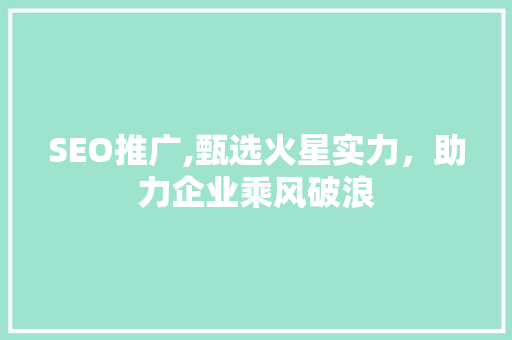 SEO推广,甄选火星实力，助力企业乘风破浪 编程语言