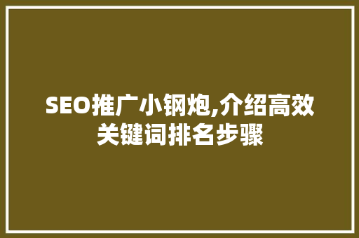 SEO推广小钢炮,介绍高效关键词排名步骤 网络技术 SEO推广小钢炮,介绍高效关键词排名步骤 网络技术