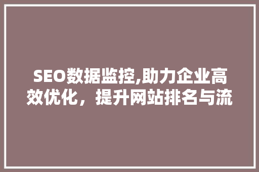 SEO数据监控,助力企业高效优化，提升网站排名与流量