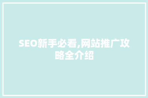 SEO新手必看,网站推广攻略全介绍