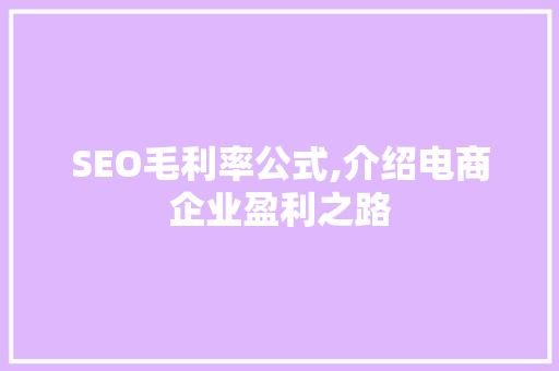 SEO毛利率公式,介绍电商企业盈利之路