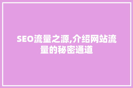 SEO流量之源,介绍网站流量的秘密通道