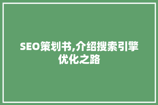 SEO策划书,介绍搜索引擎优化之路