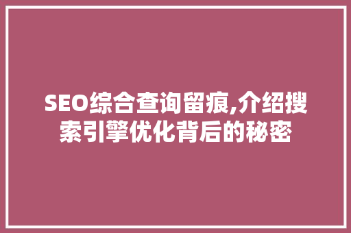 SEO综合查询留痕,介绍搜索引擎优化背后的秘密